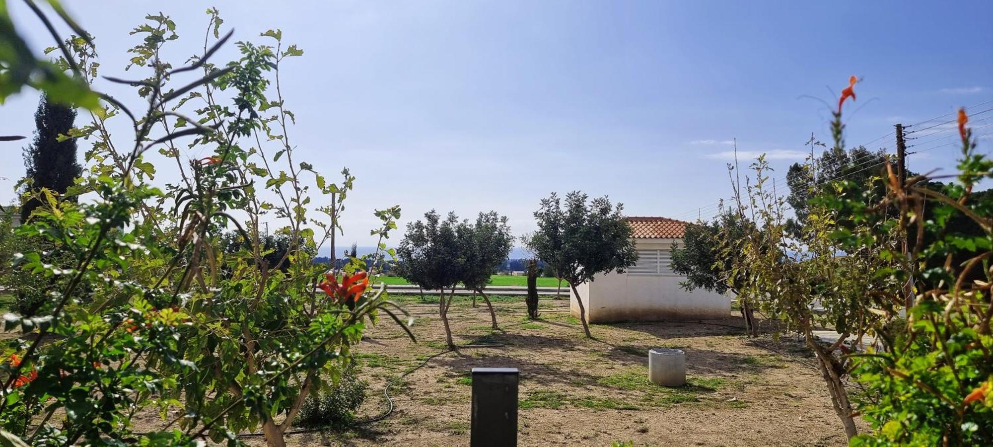 Shanti Paphos Villa Kültér fotó