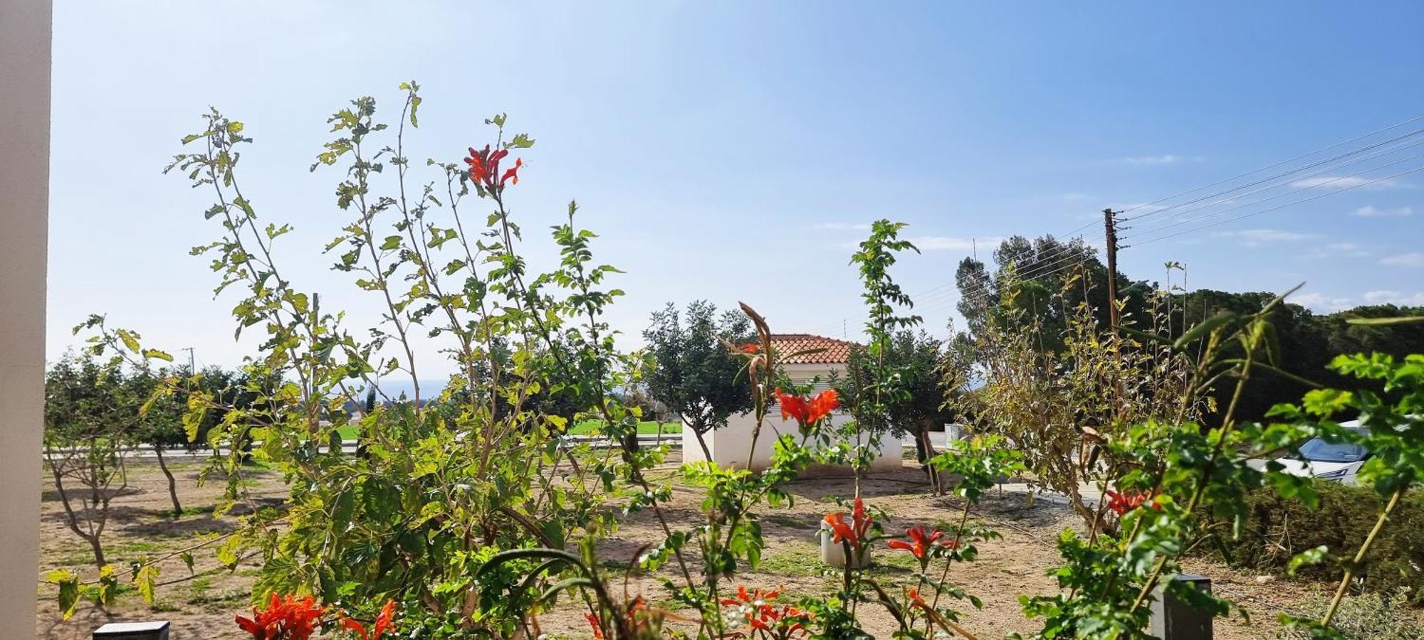 Shanti Paphos Villa Kültér fotó