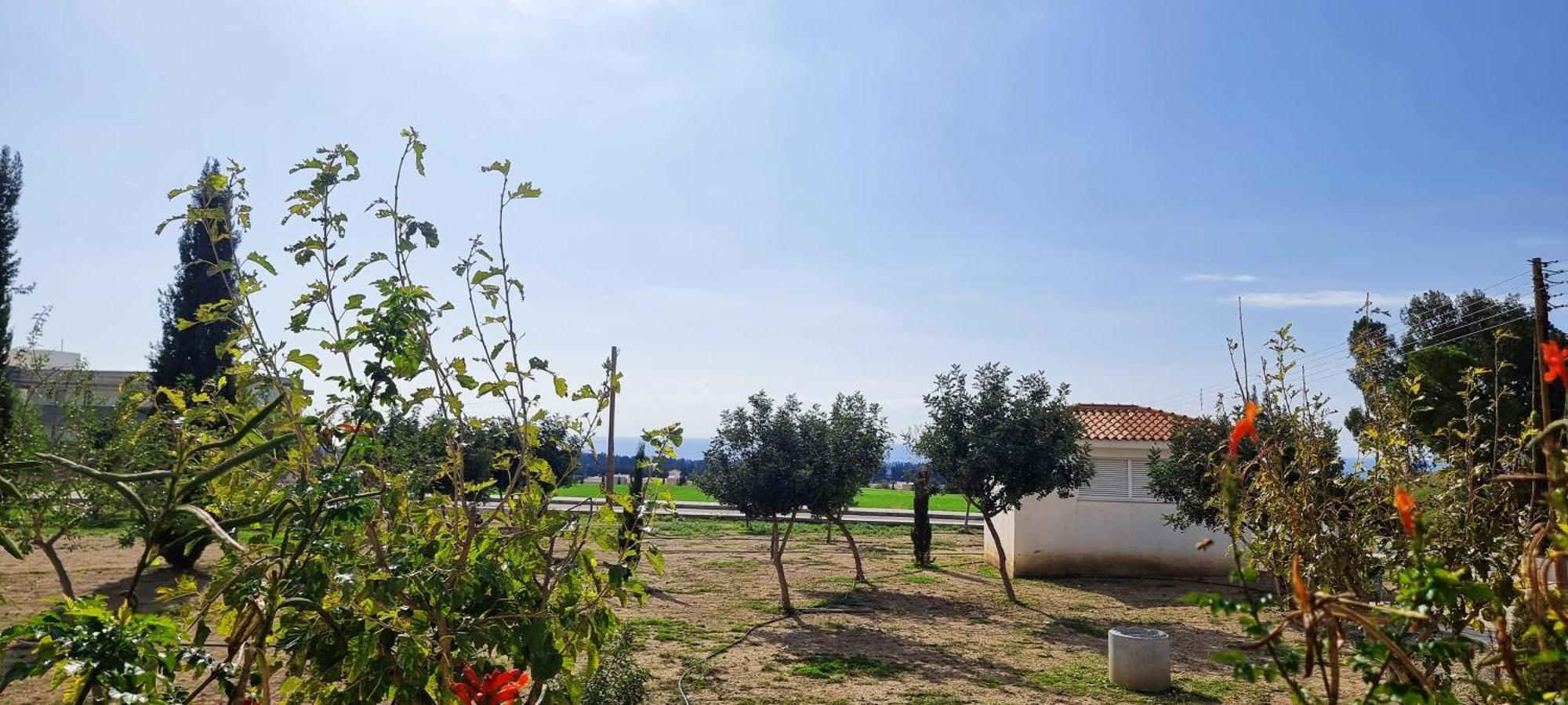 Shanti Paphos Villa Kültér fotó